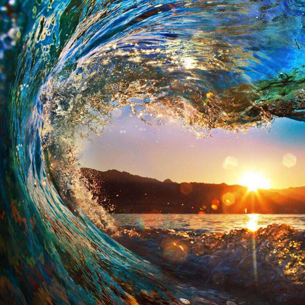 Meet your Posher, Shauna